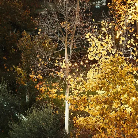 Bujtina E Diellit Boutique *