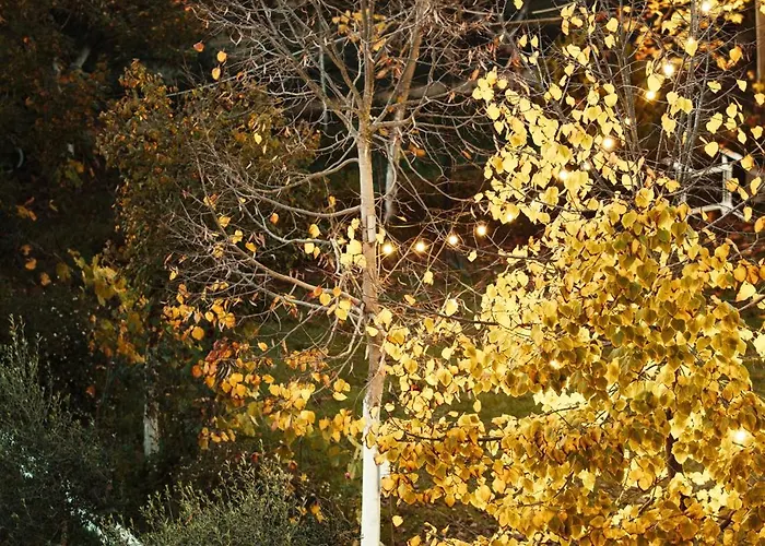 Bujtina E Diellit Boutique *